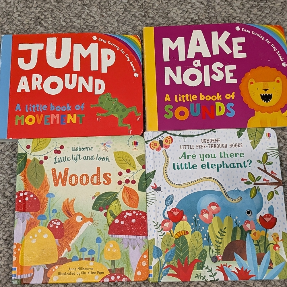 Interactive Board Book Collection 4 Kane Miller & Usborne
